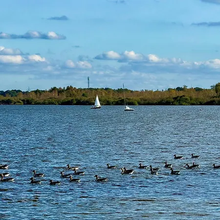 Ferienhaus Hausboot Seerose *