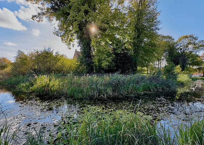 Dom wakacyjny Hausboot 